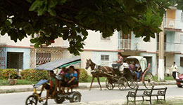 Horse carriage in Moron Cuba