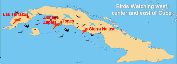 birding west center east tour map cuba