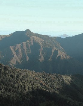 Turquino national park in sierra maestra santiago de cuba