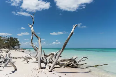 Cayo Santa María Beach Escape in Cuba