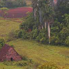 Viñales Valley 220/620